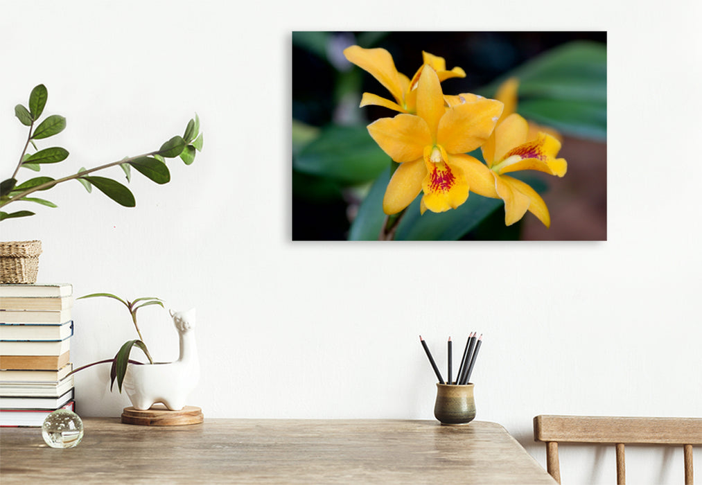 Toile textile haut de gamme Toile textile haut de gamme 120 cm x 80 cm paysage détail photo d'orchidée 