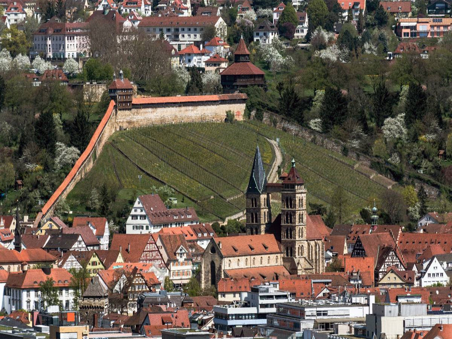 Luftbild auf Burg und Stadtkirche - CALVENDO Foto-Puzzle'
