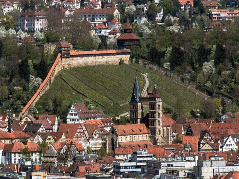Luftbild auf Burg und Stadtkirche - CALVENDO Foto-Puzzle'