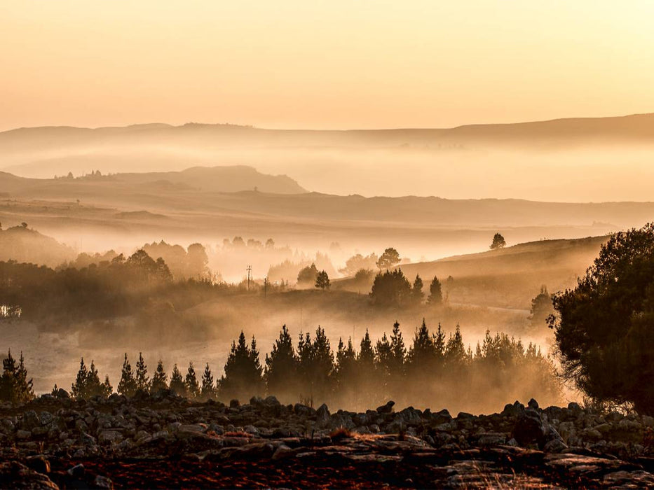 Morgenstimmung - CALVENDO Foto-Puzzle'