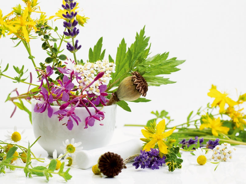 Sommer Kräuter 1000 Teile Puzzle quer - CALVENDO Foto-Puzzle'