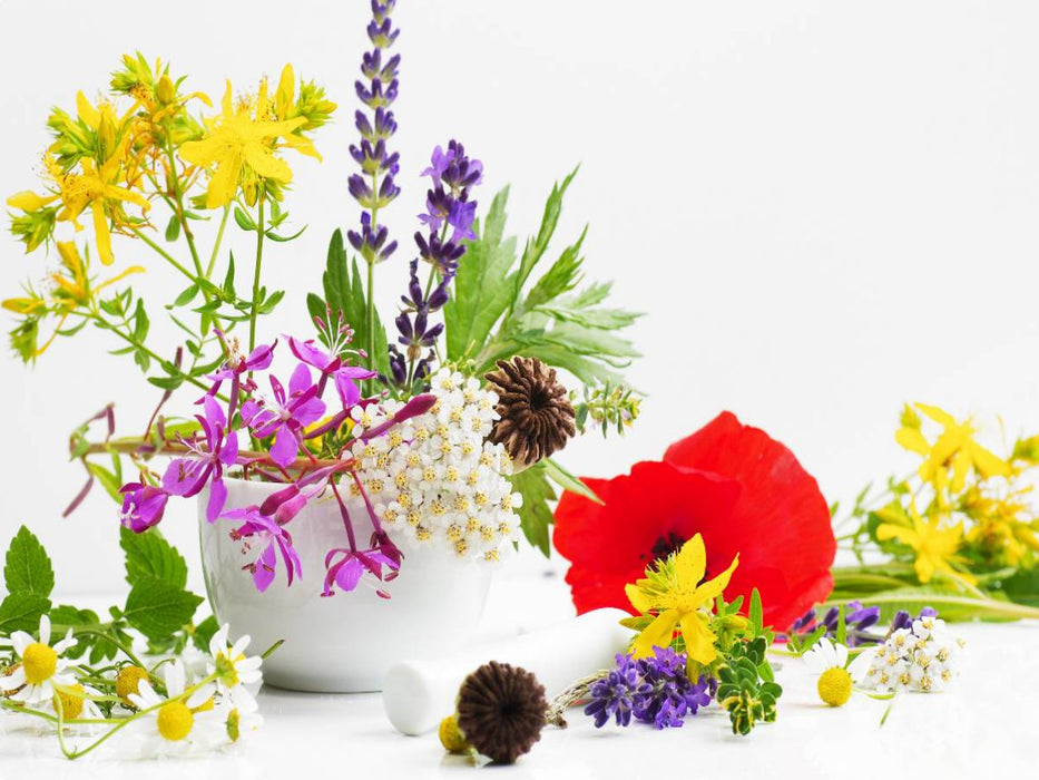 Bunte Wildkräuter aus dem Naturgarten - CALVENDO Foto-Puzzle'