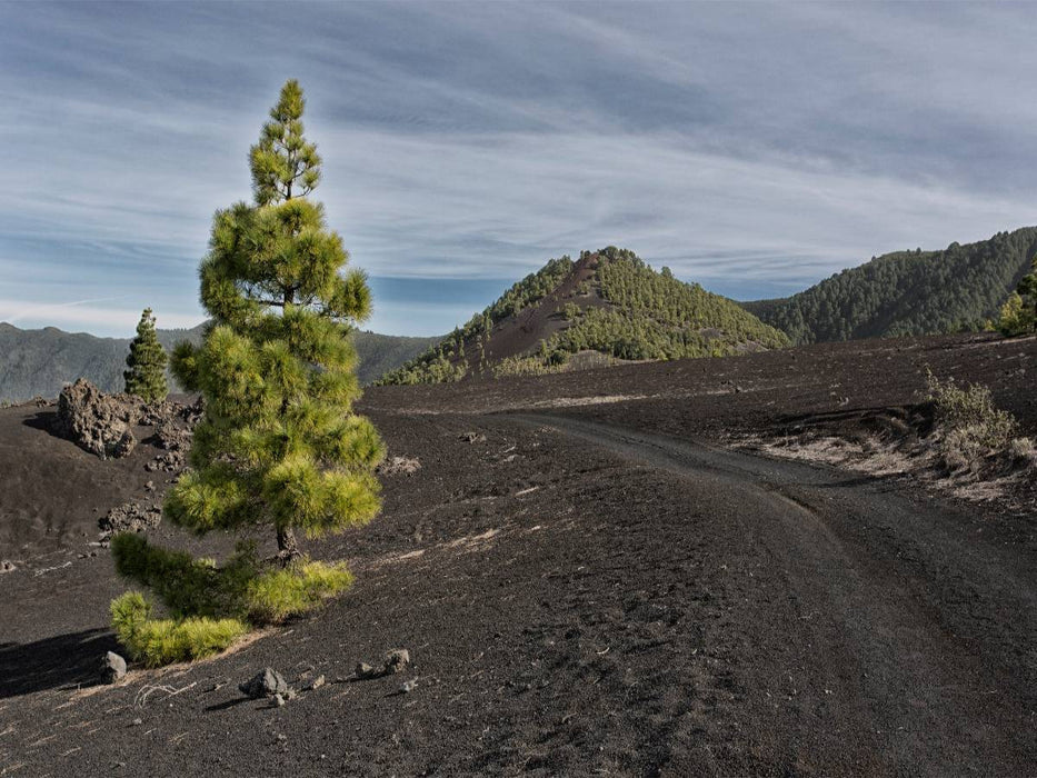 La Palma - Cumbre Nueva - CALVENDO Foto-Puzzle'