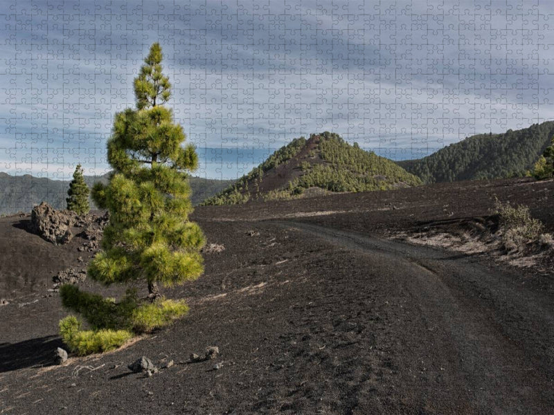 La Palma - Cumbre Nueva - CALVENDO Foto-Puzzle'