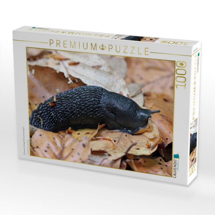 Schwarzer Schnegel (Limax cinereoniger) - CALVENDO Foto-Puzzle'