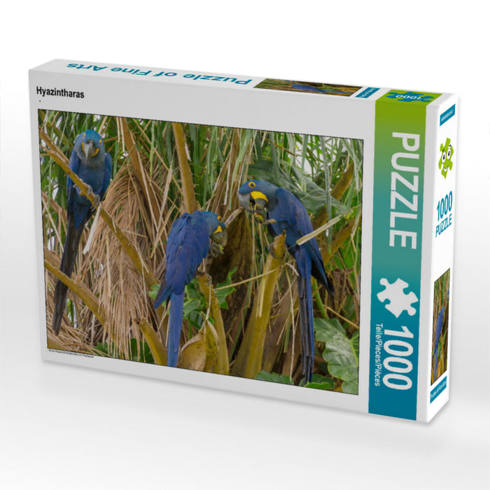 Hyazintharas 2000 Teile Puzzle quer - CALVENDO Foto-Puzzle'