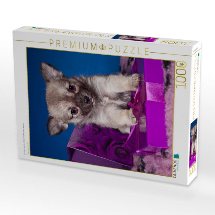 Ein Motiv aus dem Kalender Chihuahua Welpen - CALVENDO Foto-Puzzle'