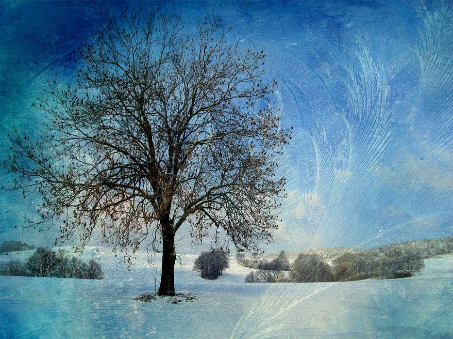 Ein Winterbaum - CALVENDO Foto-Puzzle'