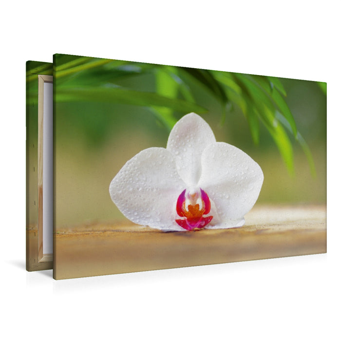 Premium Textil-Leinwand Orchideenblüte