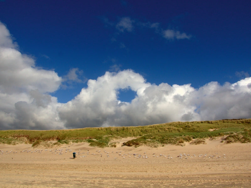 Strand und Dünen 1000 Teile Puzzle quer - CALVENDO Foto-Puzzle'