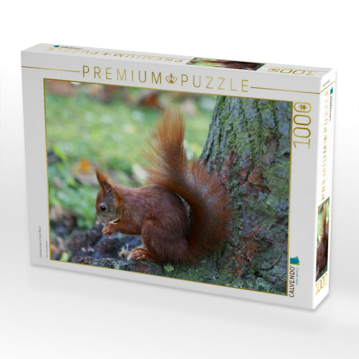 Eichhörnchen in freier Natur - CALVENDO Foto-Puzzle'