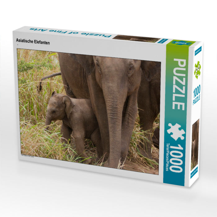 Asiatische Elefanten 2000 Teile Puzzle quer - CALVENDO Foto-Puzzle'
