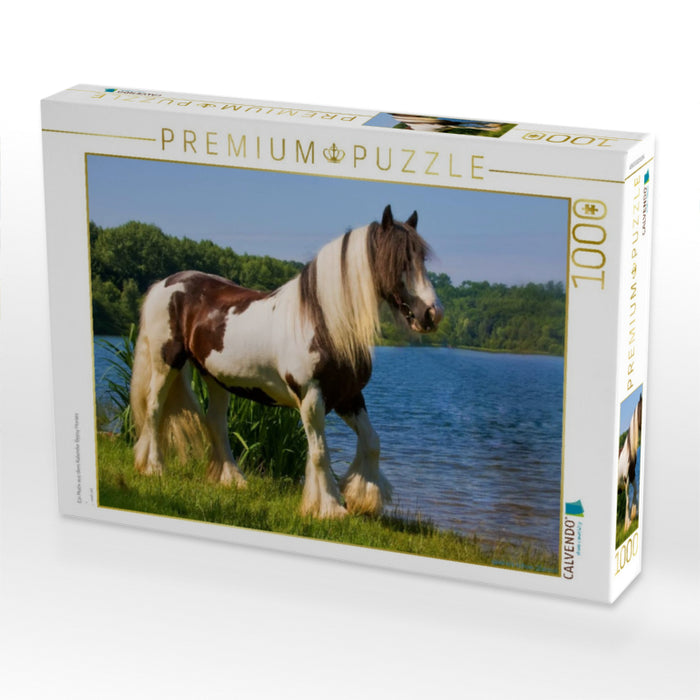 Ein Motiv aus dem Kalender Gypsy Horses - CALVENDO Foto-Puzzle'