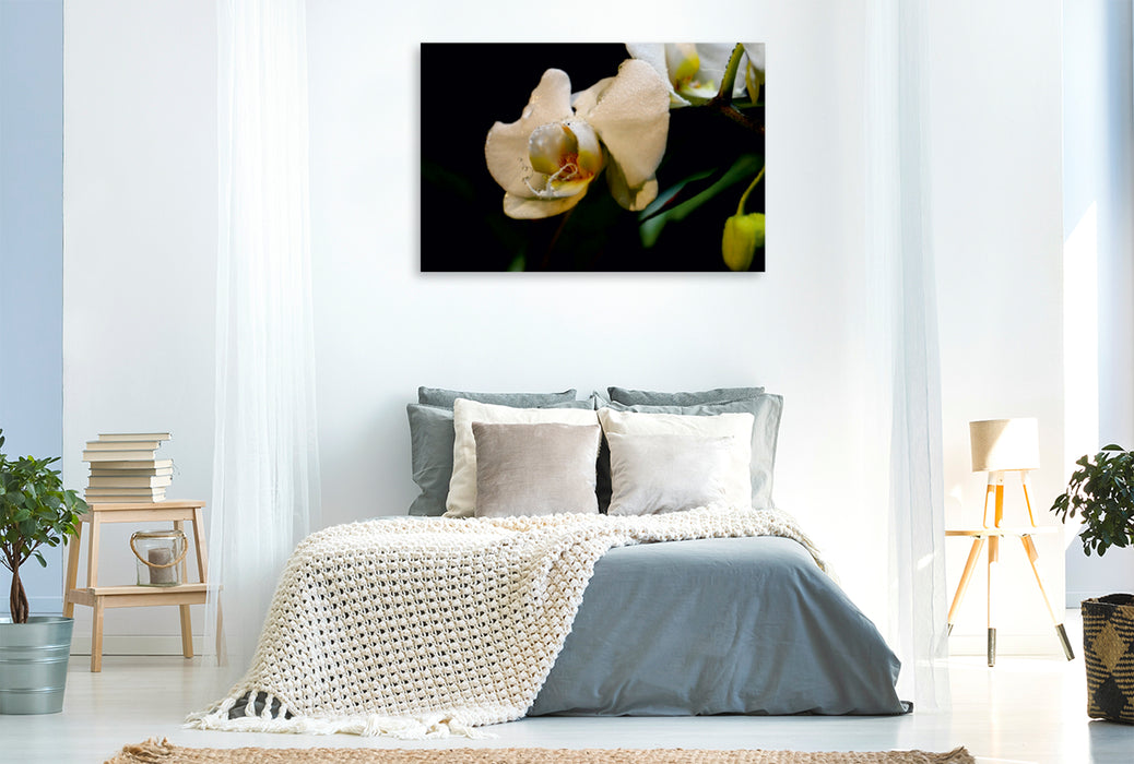 Toile textile premium Toile textile premium 120 cm x 80 cm paysage orchidée et gouttes 