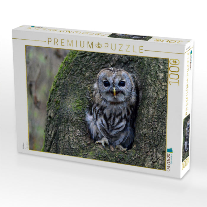 Waldkauz - CALVENDO Foto-Puzzle'
