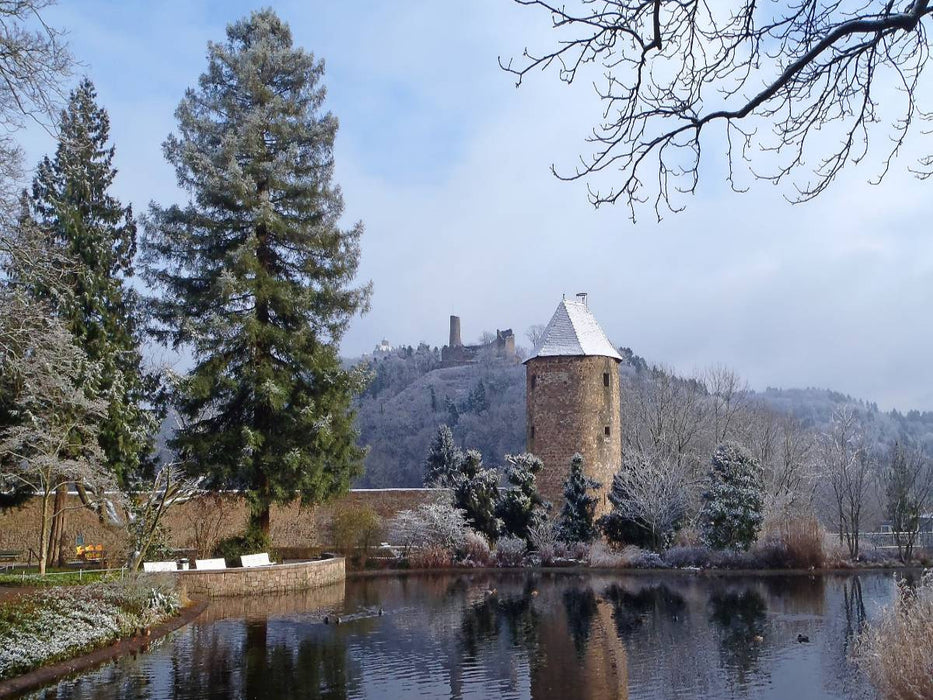 Winterhauch am Schlossteich in Weinheim an der Bergstraße - CALVENDO Foto-Puzzle'