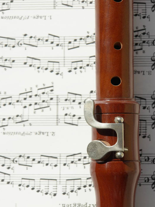 Ein Motiv aus dem Kalender Musik - CALVENDO Foto-Puzzle'