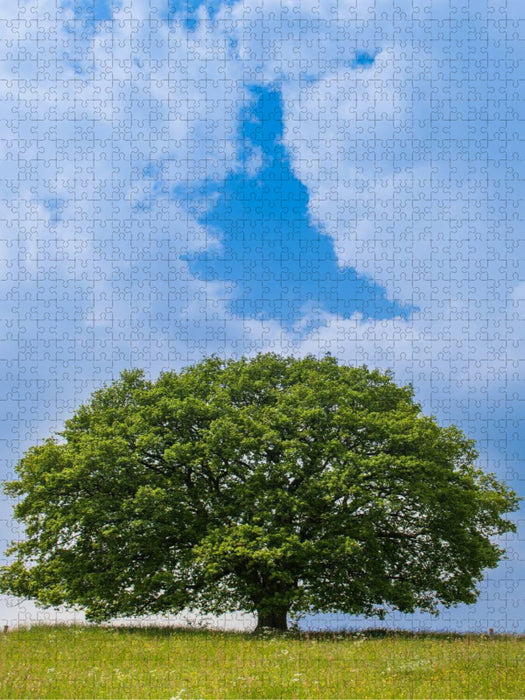April: Mitte April ist es schon warm und die Eiche steht im wunderbaren Grün. - CALVENDO Foto-Puzzle'