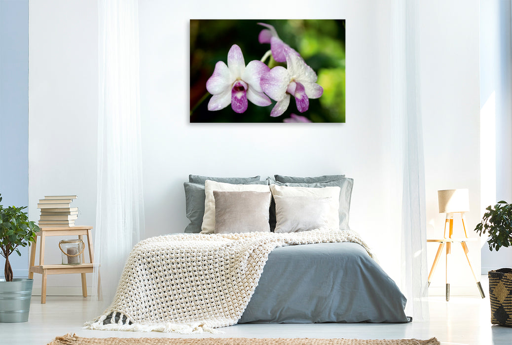 Toile textile premium Toile textile premium 120 cm x 80 cm paysage orchidées macro 