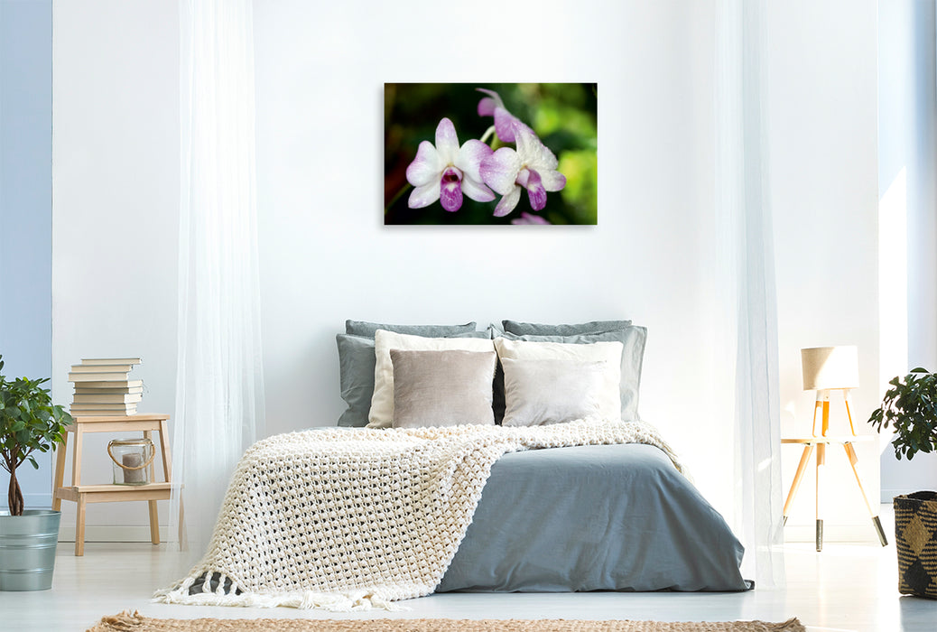 Toile textile premium Toile textile premium 120 cm x 80 cm paysage orchidées macro 