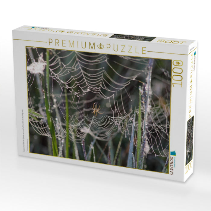 Gesponnen hat die Spinne fein und hofft auf Beute die fliegt rein. - CALVENDO Foto-Puzzle'