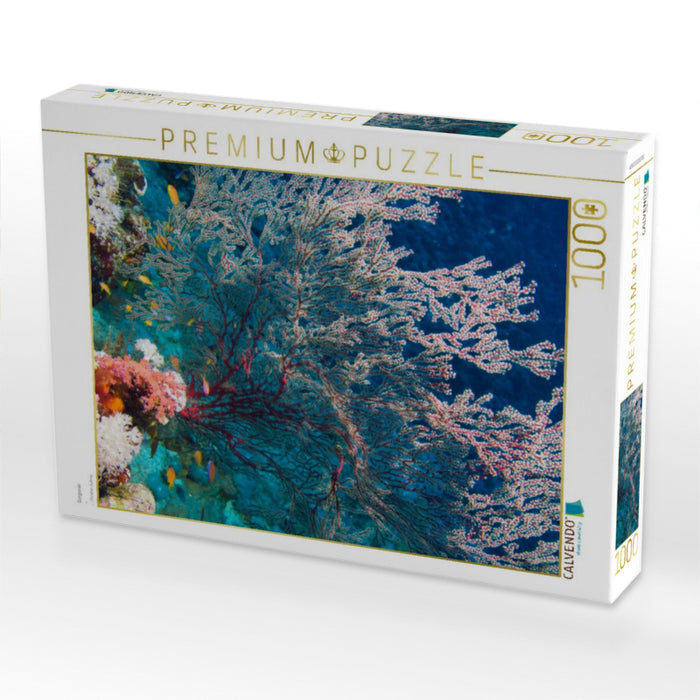 Gorgonie - CALVENDO Foto-Puzzle'