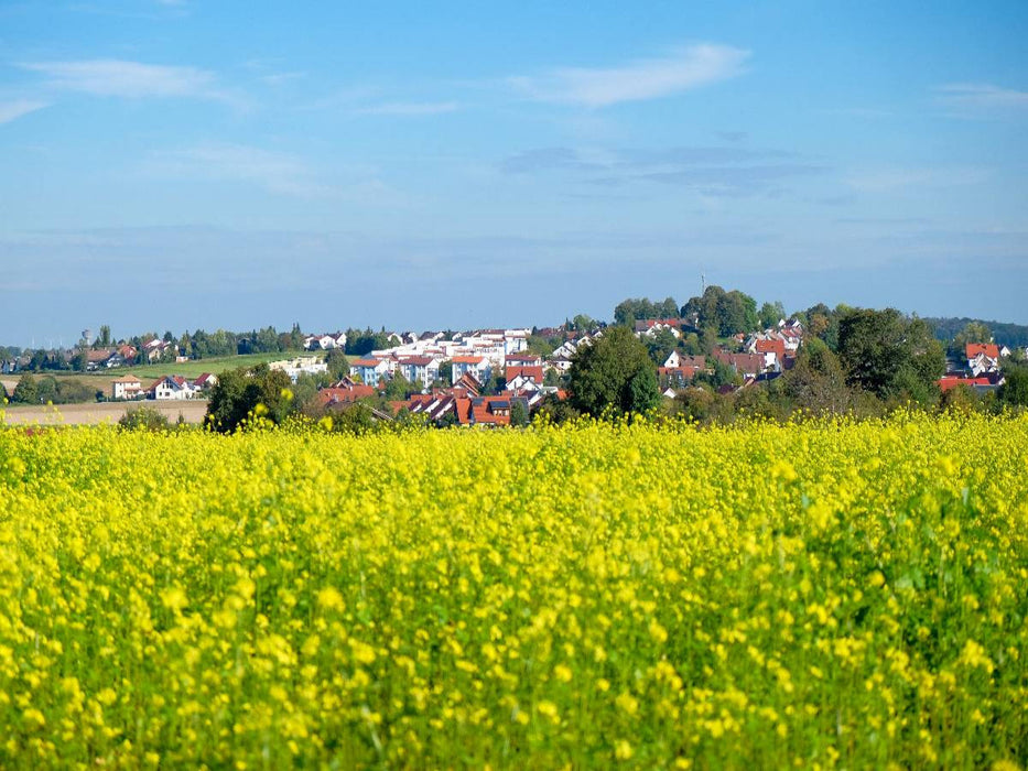 Ein Motiv aus dem Kalender Laichingen - Schwäbische Alb Planer - CALVENDO Foto-Puzzle'