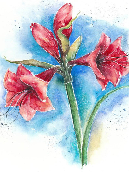 Amaryllis - CALVENDO Foto-Puzzle'