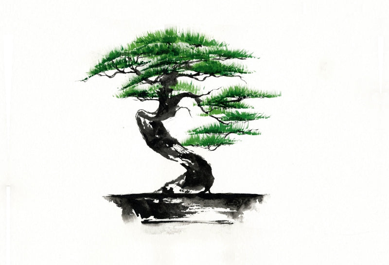 Premium Textil-Leinwand Bonsai