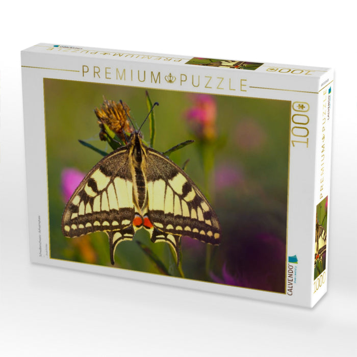 Schwalbenschwanz - Aufwärmphase - CALVENDO Foto-Puzzle'