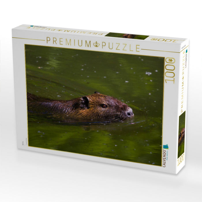 Nutria - CALVENDO Foto-Puzzle'