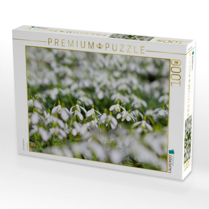 Schneeglöckchen - CALVENDO Foto-Puzzle'