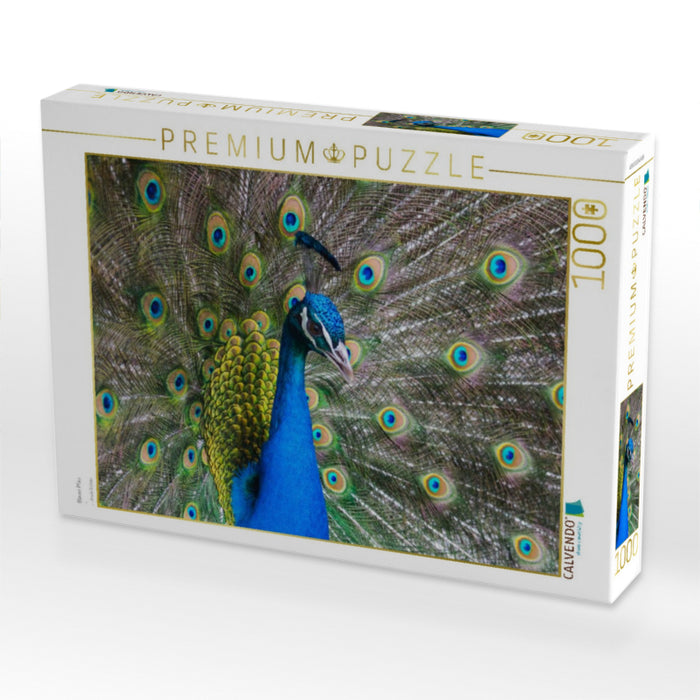 Blauer Pfau - CALVENDO Foto-Puzzle'