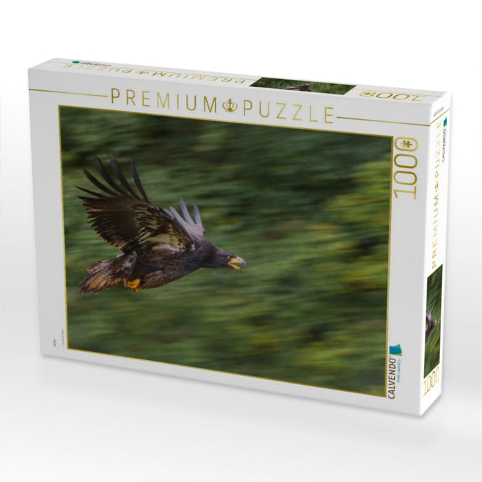 Adler - CALVENDO Foto-Puzzle'