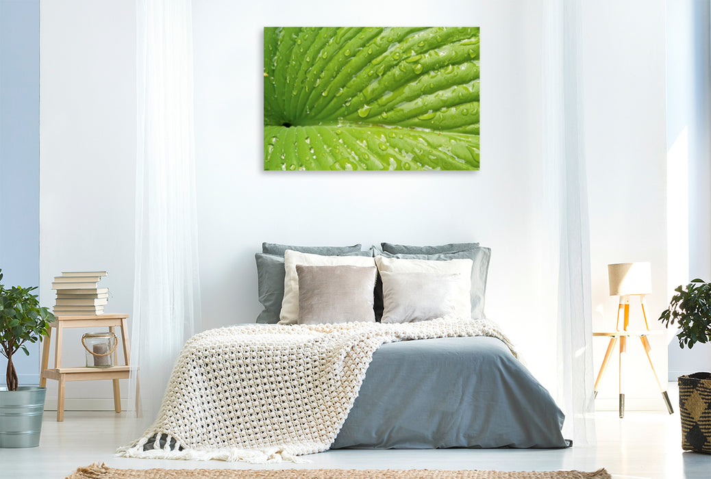 Premium Textil-Leinwand Premium Textil-Leinwand 120 cm x 80 cm quer Ein Motiv aus dem Kalender Kraftquelle Grün