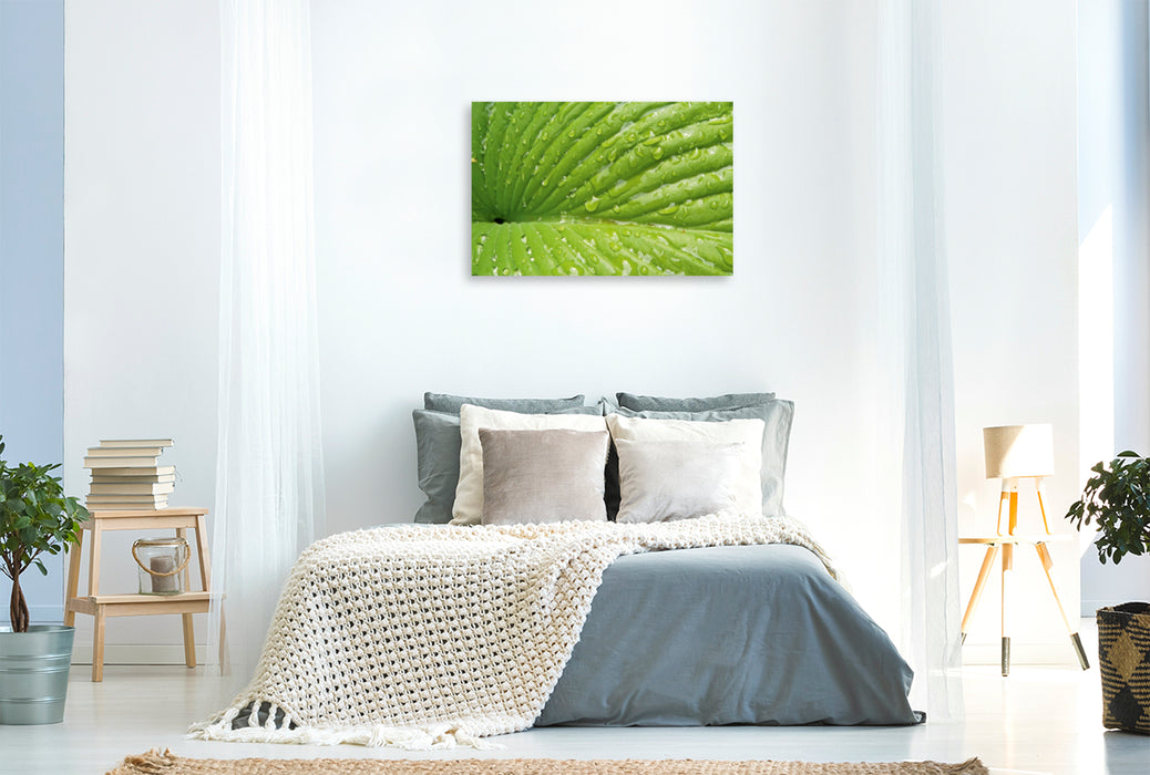 Premium Textil-Leinwand Premium Textil-Leinwand 120 cm x 80 cm quer Ein Motiv aus dem Kalender Kraftquelle Grün
