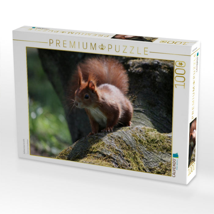 Eichhörnchen im Licht - CALVENDO Foto-Puzzle'