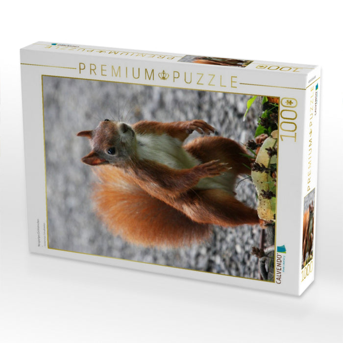 Neugieriges Eichhörnchen - CALVENDO Foto-Puzzle'