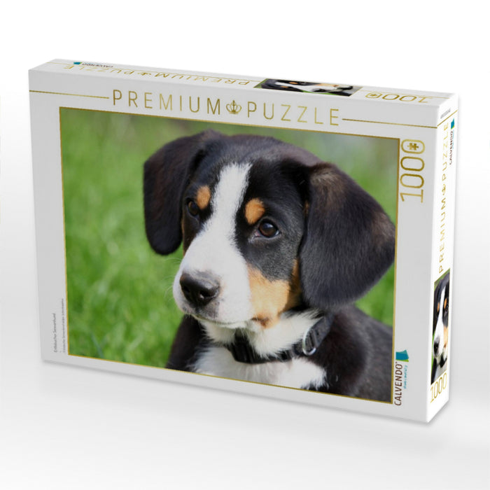 Entlebucher Sennenhund - CALVENDO Foto-Puzzle'