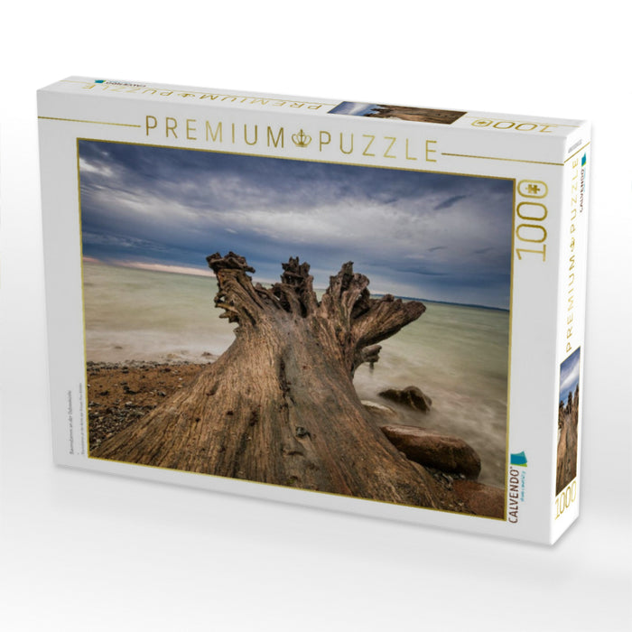 Baumstamm an der Ostseeküste - CALVENDO Foto-Puzzle'