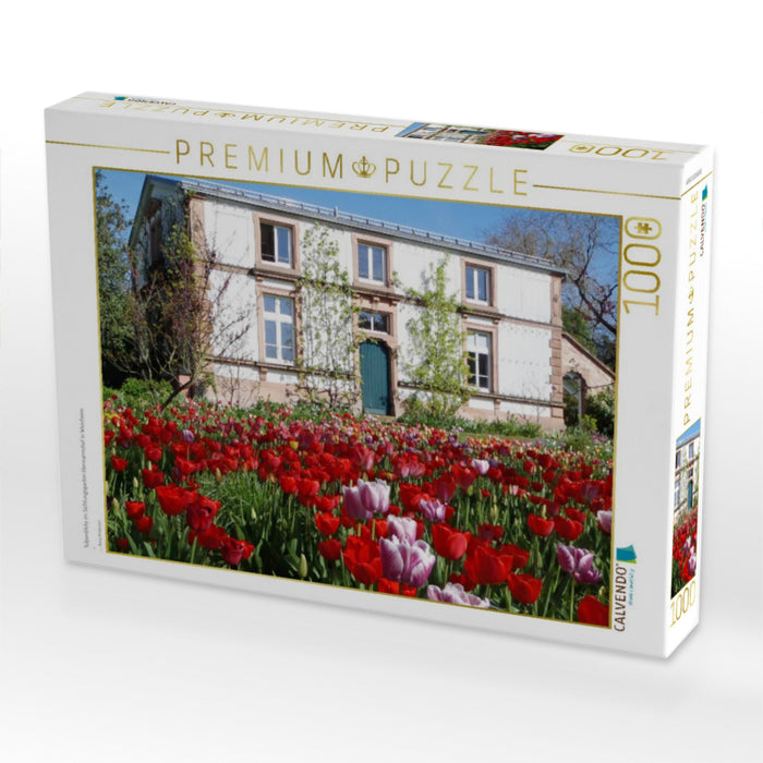 Tulpenblüte im Sichtungsgarten Hermannshof in Weinheim - CALVENDO Foto-Puzzle'