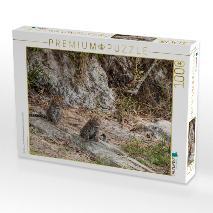 Ein Motiv aus dem Kalender Emotionale Momente: Leoparden - CALVENDO Foto-Puzzle'