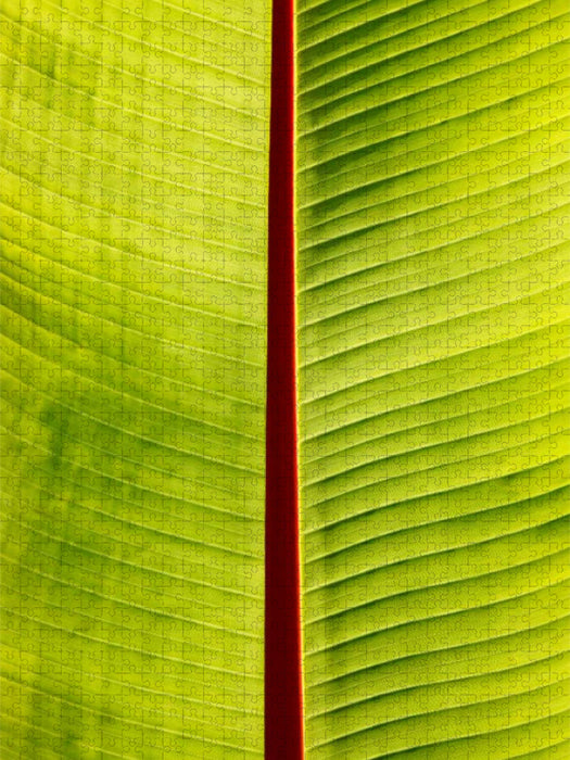 Blatt - CALVENDO Foto-Puzzle'