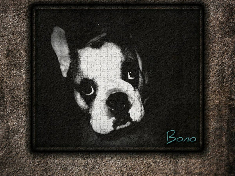 Bodo - CALVENDO Foto-Puzzle'
