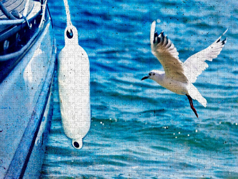 Möwe - CALVENDO Foto-Puzzle'