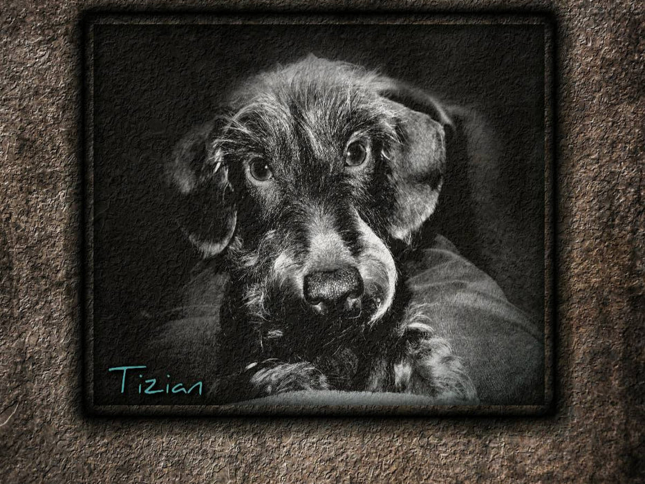 Tizian - CALVENDO Foto-Puzzle'