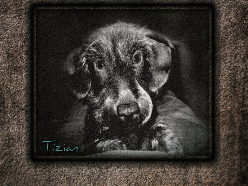 Tizian - CALVENDO Foto-Puzzle'
