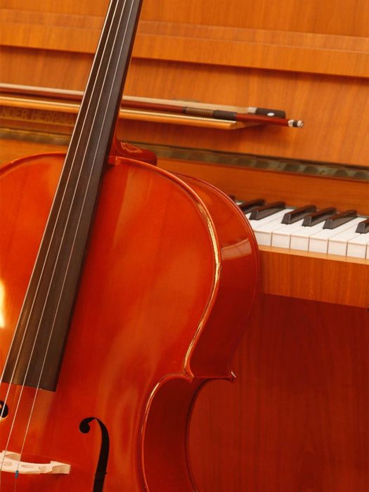Cello und Klavier - CALVENDO Foto-Puzzle'