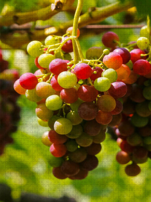 Ein Motiv aus dem Kalender Wein und Sekt - CALVENDO Foto-Puzzle'