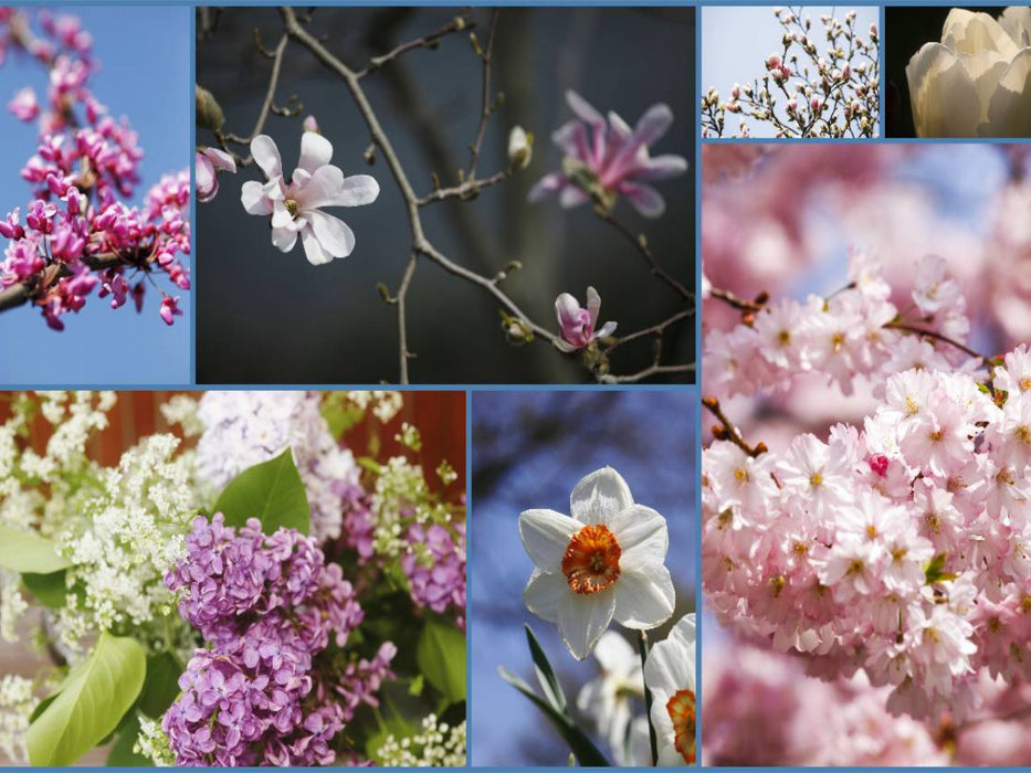 Ein Motiv aus dem Kalender Florales zu jeder Jahreszeit - CALVENDO Foto-Puzzle'